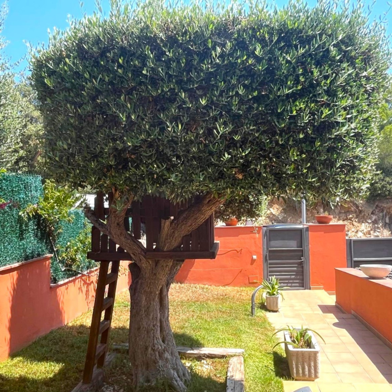 BONITA CASA EN VENTA EN PALAMÓS: CON TERRAZA, JARDÍN, PISCINA-BARBACOA, GARAJE 2 COCHES…